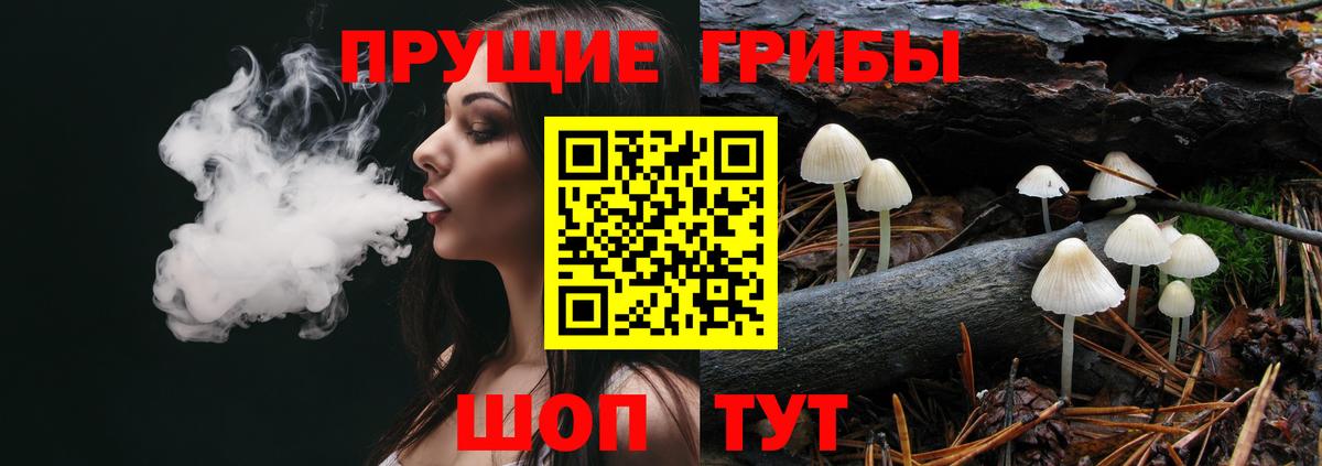 Галлюциногенные грибы Psilocybine cubensis  Вход с VPN  Салехард  Псилоцибиновые грибы Cubensis 