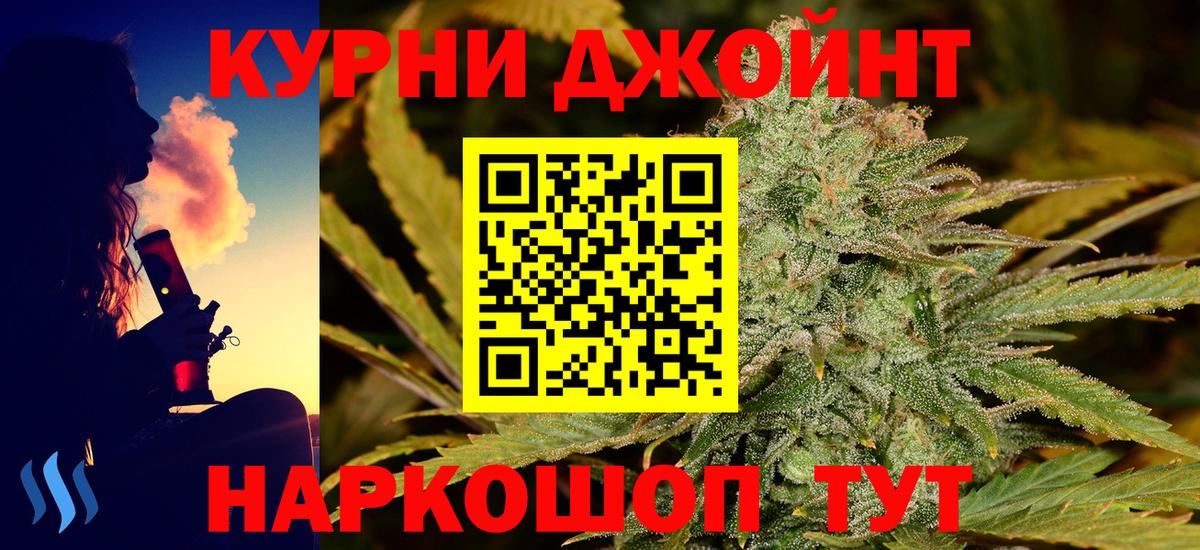 Каннабис сатива Салехард